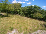 hillsite-thumb.jpg